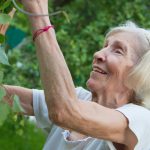 the-old-lady-3503684_1280